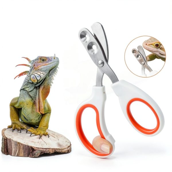 Ranjaner Stainless Steel Bearded Dragon Nail Clipper Small-3