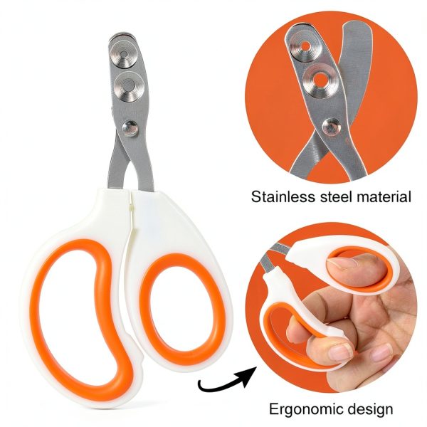 Ranjaner Stainless Steel Bearded Dragon Nail Clipper Small-2