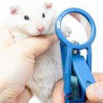 HAICHEN TEC Small Animal Nail Clipper Stainless Steel Design-0