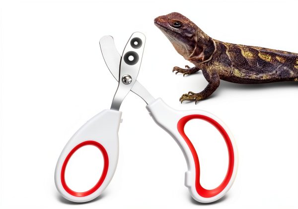 Bearded Dragon Nail Clippers Quilax Steel-6