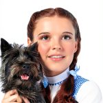 Wizard of Oz DVD Classic Film Victor Fleming Edition U‑S36508-0